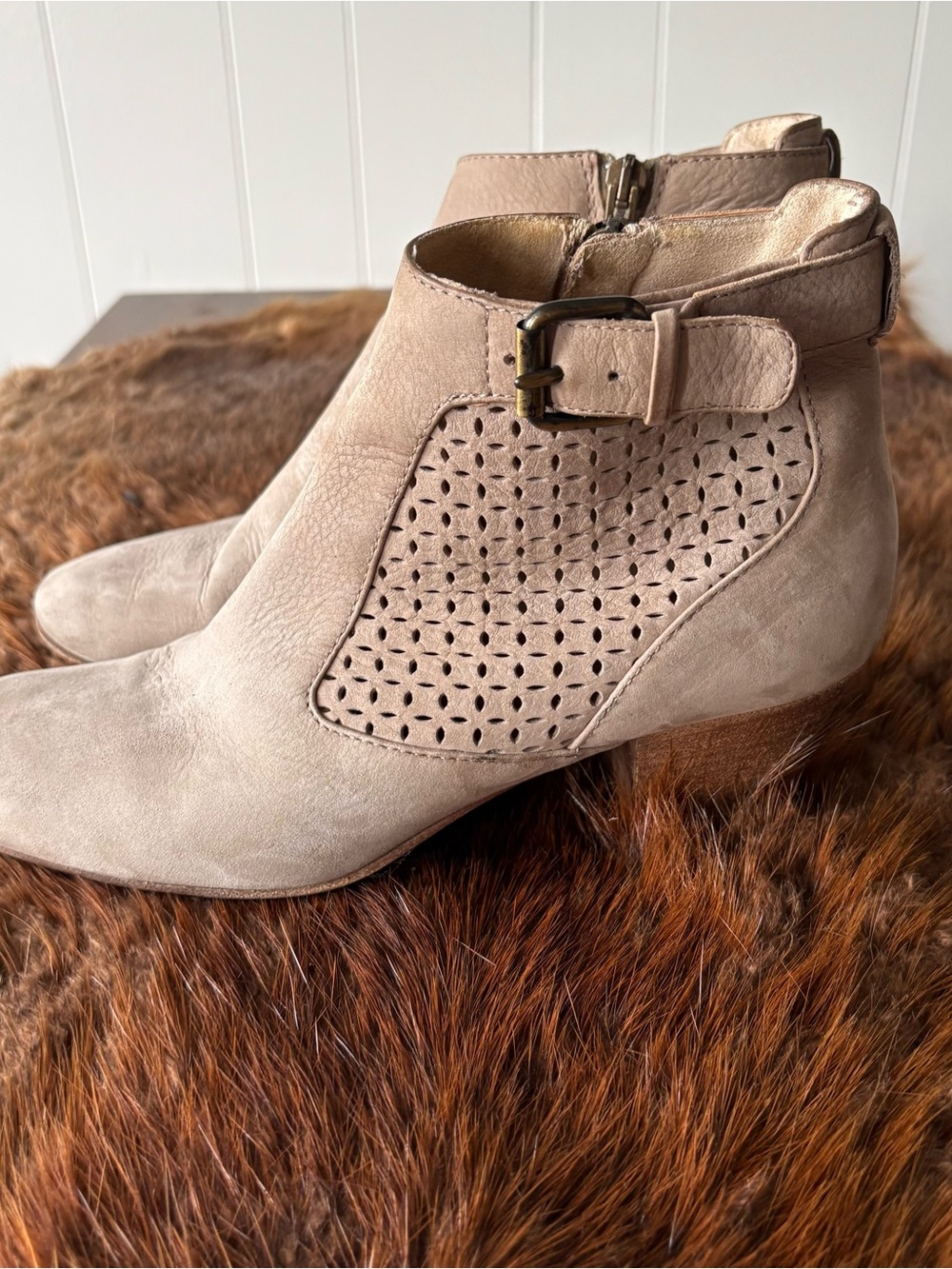 Aquatalia Suede Ankle Boots